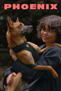 Imagem do Filme Phoenix