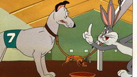 «Кролик на собачьих бегах (1949)» — обои к мультфильму #1