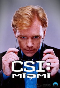 Постер сериала «C.S.I.: Майами (2002 - 2012)» — (10 из 50)