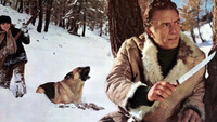«Вой волка (1975)» — обои к фильму #2