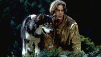 «Белый клык 2: Легенда о белом волке (1994)» — обои к фильму #5