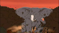 Ndovu's Last Journey