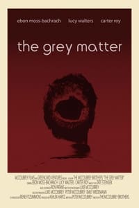 Poster de The Grey Matter