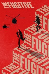 The Fugitive - Season 1