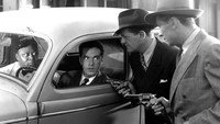 «Freckles Comes Home (1942)» — обои к фильму #1