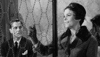 «Ах вы мои приключения... (1958)» — обои к фильму #3