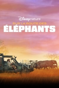 Poster de Sur la route des éléphants