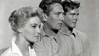 «Грехи Рэйчел Кейд (1961)» — обои к фильму #1