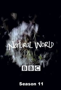 Watch Natural World - Season 11 123Movies