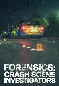Forensics: Crash Scene Investigators (2025) subtitle poster