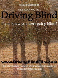 Driving Blind