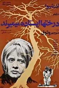 درختان ایستاده می‌میرند (1971)