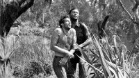 «Крик загнанного (1953)» — обои к фильму #4