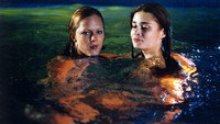 «Vrazda kocky domácí (2004)» — обои к фильму #4