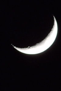 Imagem do Filme Lost on Arrival