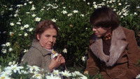 Harold et Maude