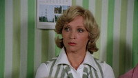 «Счастье на поводке (1977)» — обои к фильму #3