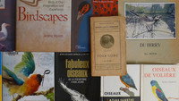 «Langue des oiseaux (2022)» — обои к фильму #4