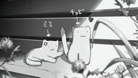 «Она и её кот (1999)» — обои к аниме #6