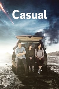 copertina serie tv Casual 2015