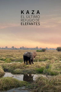 Imagem do Filme Kaza. El último refugio de elefantes