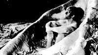 «Грех Адама и Евы (1969)» — обои к фильму #1