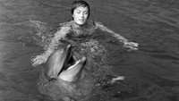 «Соперницы (1985)» — обои к фильму #3