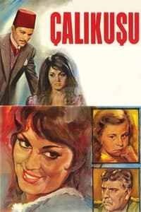 Çalıkuşu (1966)