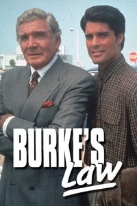 Постер сериала «Правосудие Берка (1994-1995)» — (2 из 3)