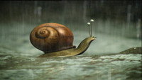 It Never Rains But It Pours