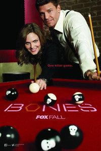 Постер сериала «Кости (2005 - 2017)» — (10 из 181)