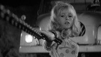 «Кто хочет убить Джесси? (1966)» — обои к фильму #5