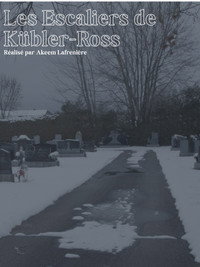 Les Escaliers de Kübler-Ross (2026) poster