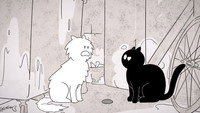 Catnip Trip