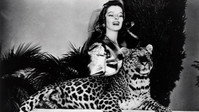 «Воспитание Крошки (1938)» — обои к фильму #5