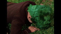 Le Garcon aux cheveux verts
