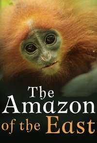 The Amazon of the East - Season 1
