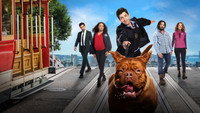 «Тёрнер и Хуч (2021)» — обои к сериалу #2