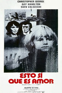 Poster de Questo sì che è amore