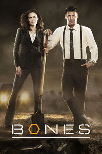 Постер сериала «Кости (2005 - 2017)» — (37 из 181)