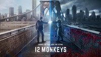 Обои к сериалу «12 обезьян (2015-2018)» — (36 из 86)