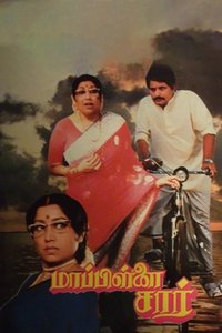 மாப்பிள்ளை சார் (1988)