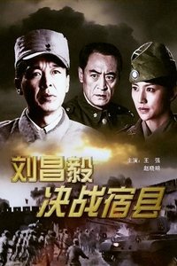 刘昌毅决战宿县 (2009)