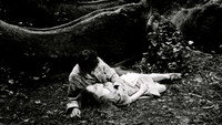 «Хрупкое, как мир (2001)» — обои к фильму #7