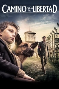 Poster de Shepherd: The Story of a Jewish Dog