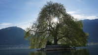 «Histoires d'arbres (2015)» — обои к сериалу #1