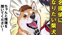 Silence Is Golden / Super Sleuth Haru-san