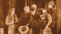 «The Night Riders (1920)» — обои к фильму #1