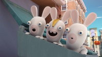 Zombie Rabbid