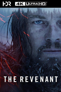Постер фильма «Выживший (2015)» — (31 из 95)